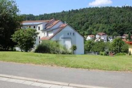 IDYLLISCHE LAGE MIT NECKARBLICK - Grundstück Eberbach | Angebot:27354783