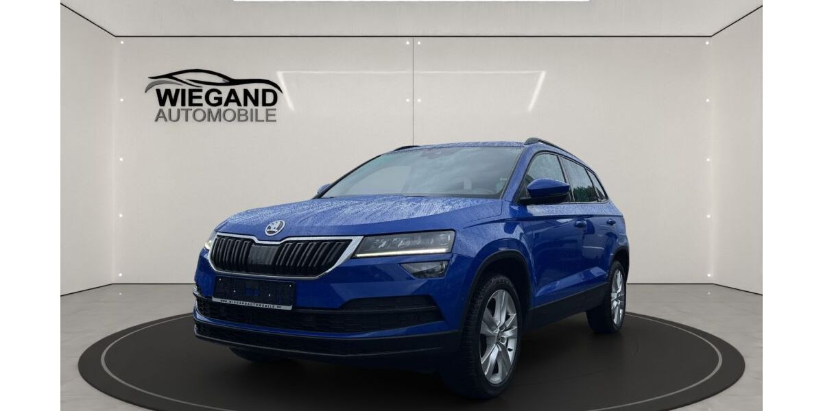 Skoda Karoq 107.000 km 16.990 &euro; Viernheim 68519