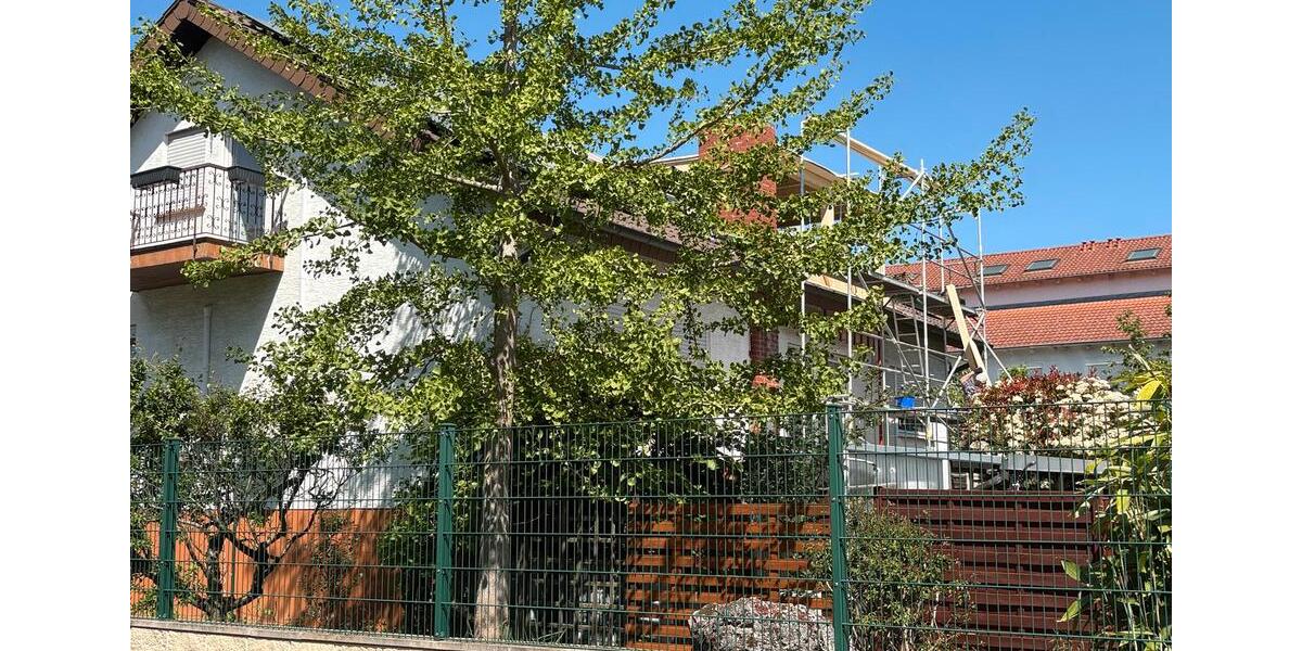Erdgeschoßwohnung Heidelberg Bahnstadt - 1 Zimmer, 21 m&sup2;, 650&euro; | Angebot:26406572