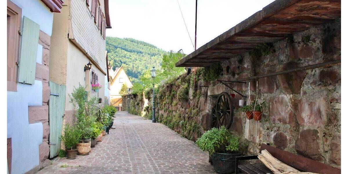 Mehrfamilienhaus, Wohnhaus Hirschhorn - 1 Zimmer, 285 m&sup2;, 480.000&euro; | Angebot:25678574