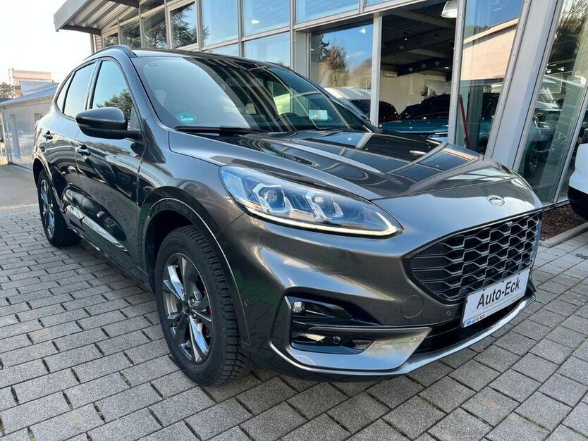 Kuga