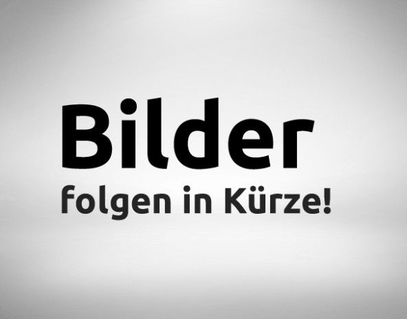 Ford Transit 67.450 km 16.900 € Speyer 67346