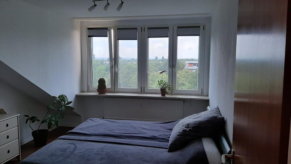 Dachgeschoßwohnung Frankenthal (Pfalz) - 2 Zimmer, 64 m&sup2;, 595&euro; | Angebot:26492664