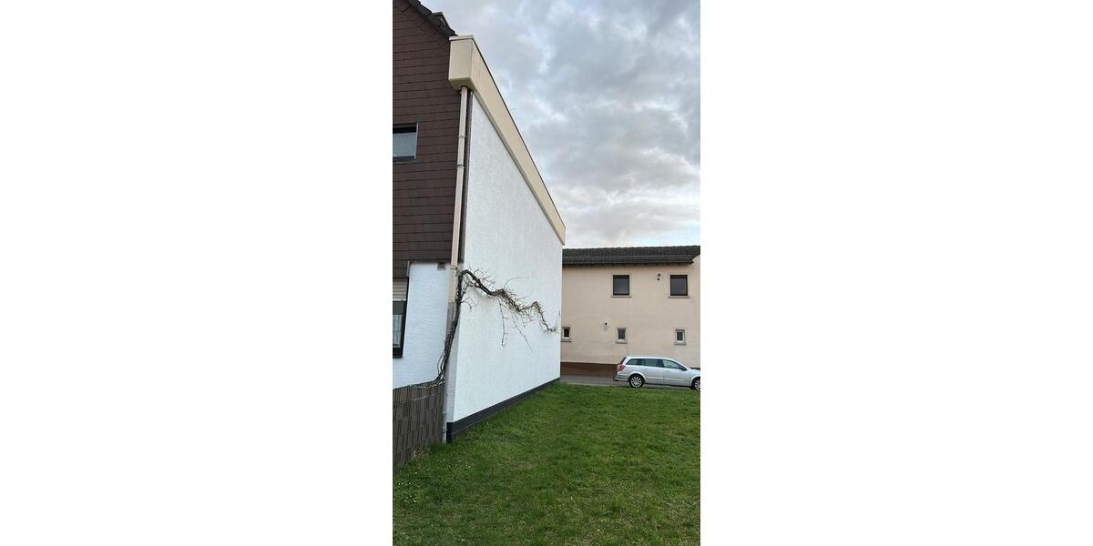 Reihenhaus Schifferstadt - 6 Zimmer, 162 m&sup2;, 1.750&euro; | Angebot:25457347