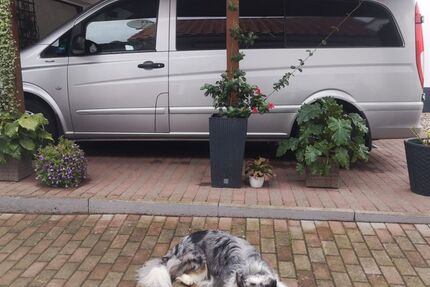 Mercedes-Benz Vito 324.970 km 10.500 € Dudenhofen 67373