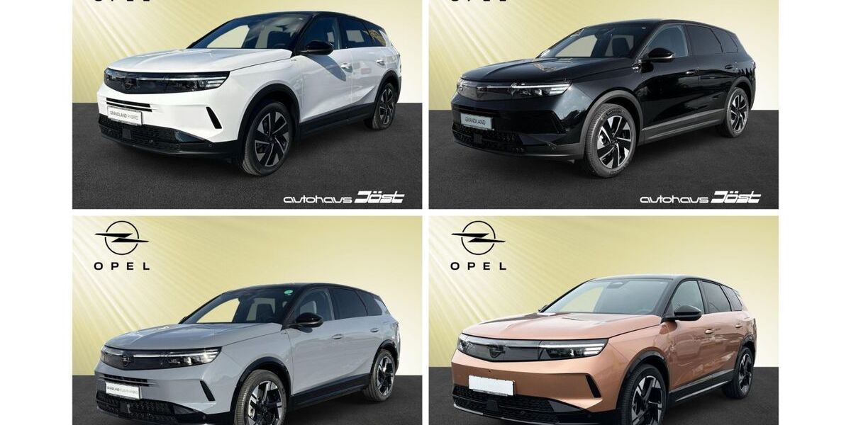 Opel Grandland (X) 4.500 km 48.690 &euro; Weinheim 69469