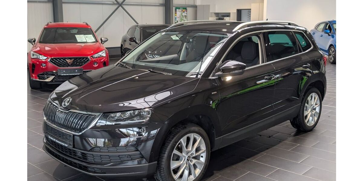 Skoda Karoq 115.000 km 21.900 € Weinheim 69469