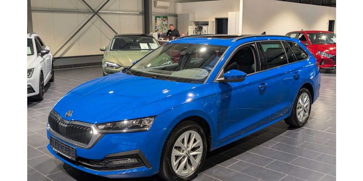 Skoda Octavia 17.000 km 25.900 € Weinheim 69469