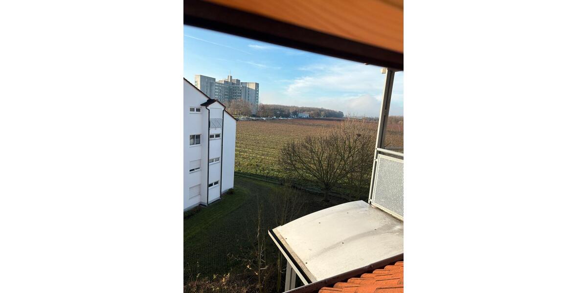 Etagenwohnung Hockenheim - 1 Zimmer, 17 m&sup2;, 500&euro; | Angebot:23819131