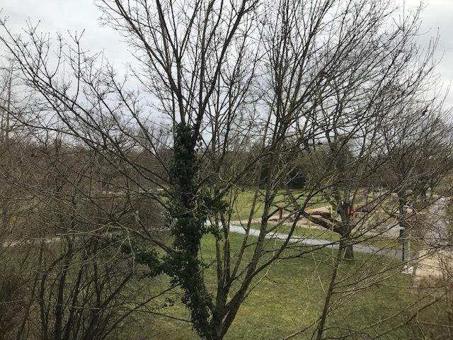 Etagenwohnung Bad Schönborn - 3 Zimmer, 81 m&sup2;, 1.350&euro; | Angebot:25280238