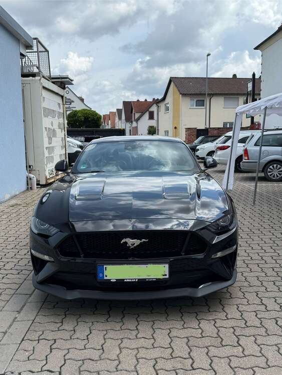 Mustang