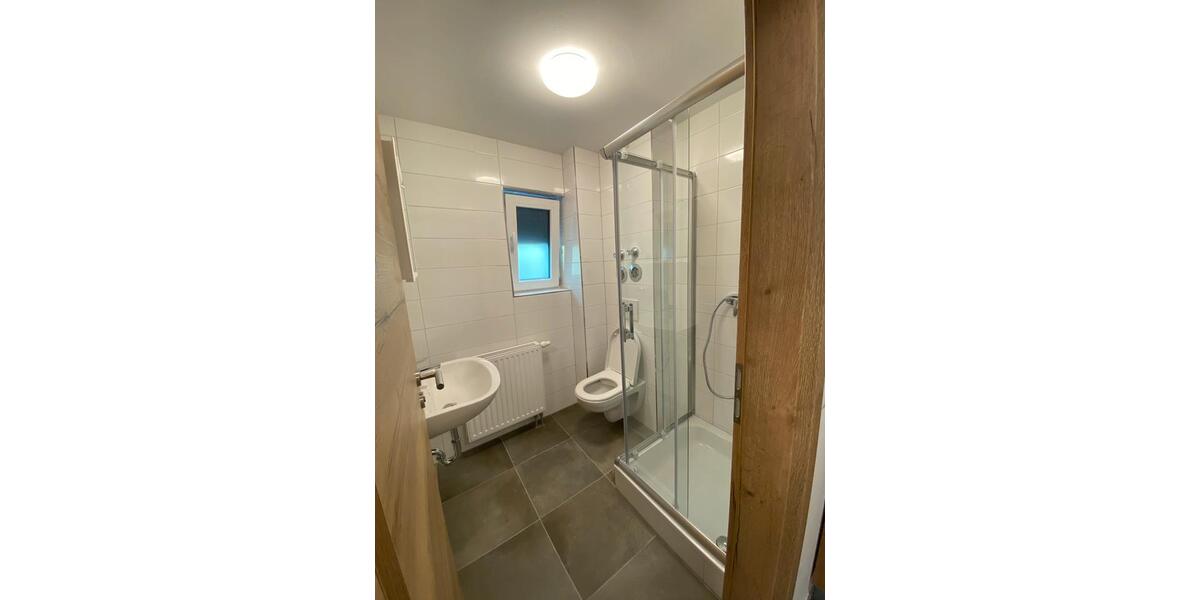 Etagenwohnung Ludwigshafen am Rhein Ludwigshafen-Hemshof - 1 Zimmer, 25 m&sup2;, 750&euro; | Angebot:26536476