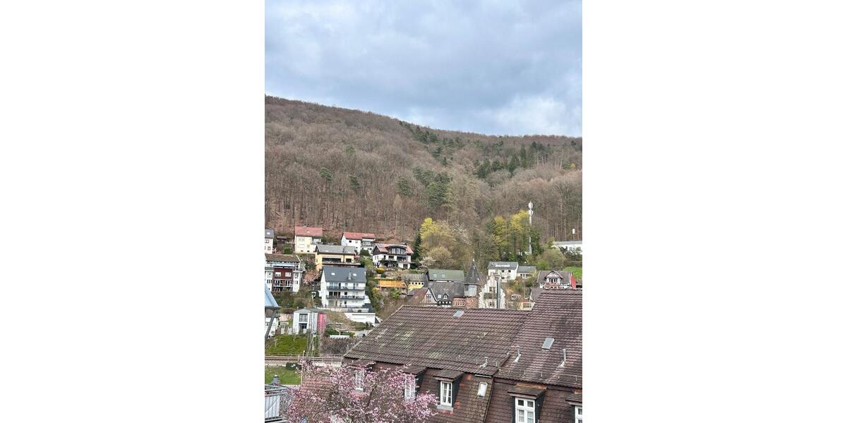 Doppelhaushälfte Neckarsteinach - 6 Zimmer, 72 m&sup2;, 120.000&euro; | Angebot:26152881