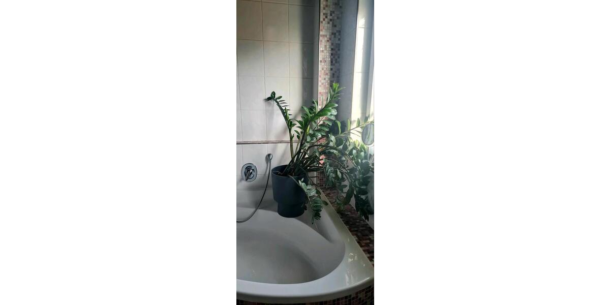 Reihenhaus Walldorf - 6 Zimmer, 169 m&sup2;, 873.000&euro; | Angebot:26916796