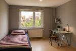 Etagenwohnung Ludwigshafen am Rhein Ludwigshafen-Hemshof - 1 Zimmer, 33 m&sup2;, 650&euro; | Angebot:26335700