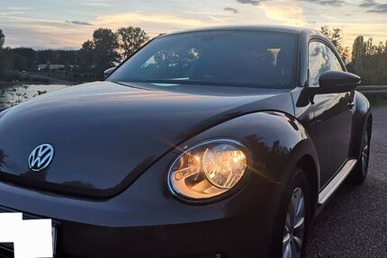 VW Beetle 115.000 km 12.950 € Hambrücken 76707