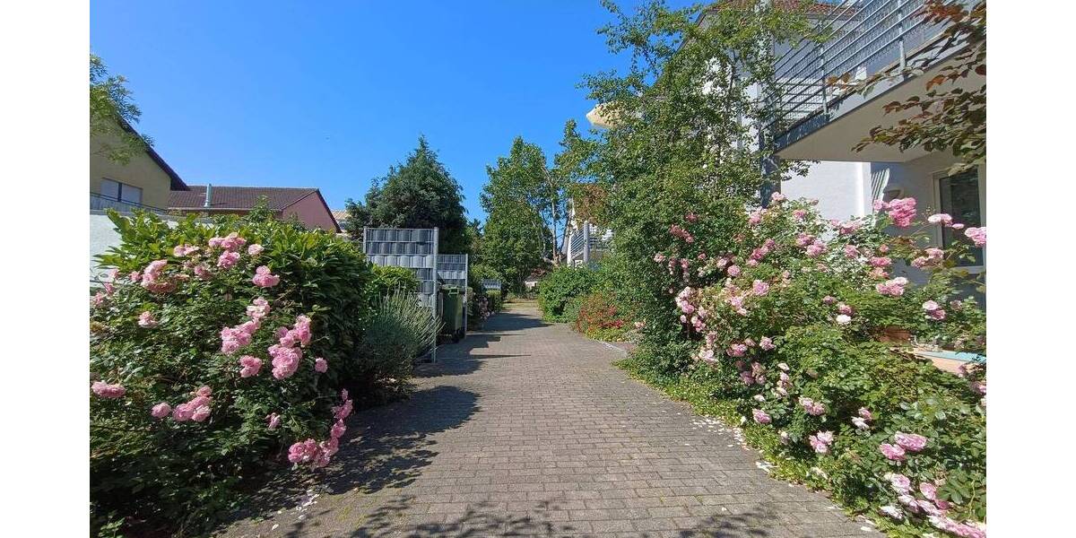 Etagenwohnung Eppelheim - 2 Zimmer, 64 m&sup2;, 880&euro; | Angebot:26797538