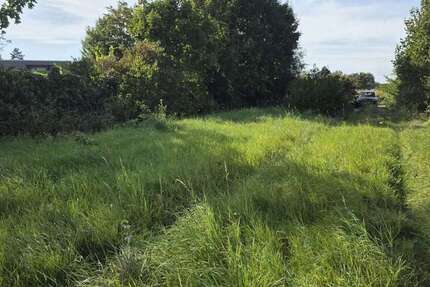 Grundstück Ladenburg - 550.000&euro; | Angebot:25903594