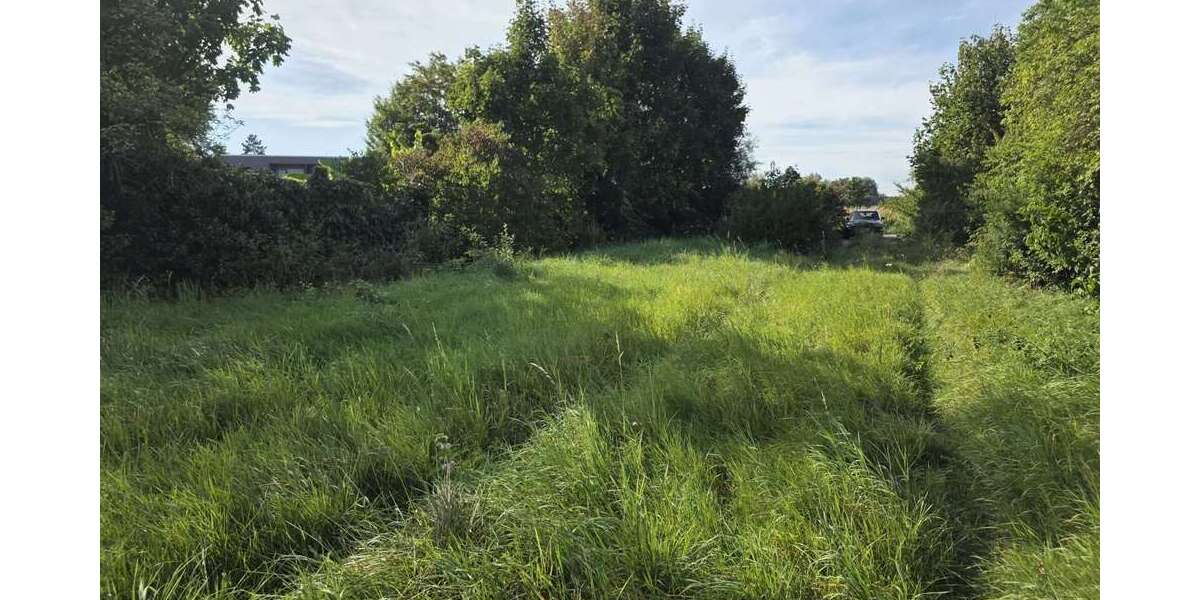 Grundstück Ladenburg - 550.000&euro; | Angebot:25903594