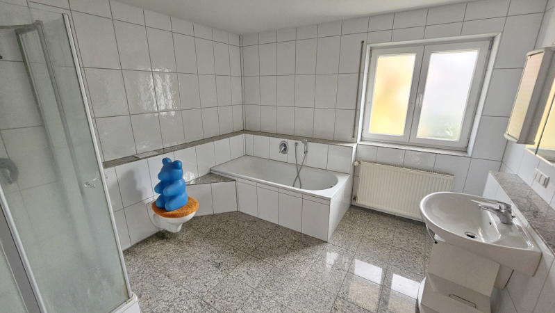 ObjNr:19759 - Attraktives Wohnen im gepflegten EFH mit Garten, Terrasse, Balkon und Garage in LU-Maudach - Einfamilienhaus Ludwigshafen am Rhein Mundenheim | Angebot:23602603