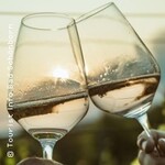 Bad Schönborner Weinwandertag