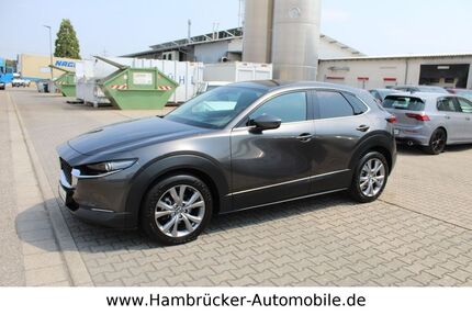 Mazda CX-30 79.736 km 19.900 &euro; Hambrücken 76707