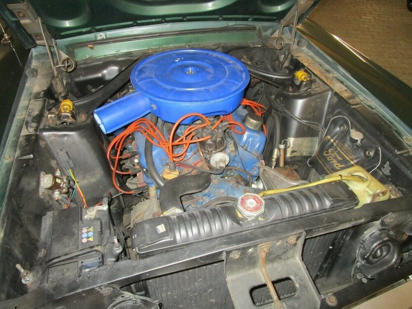 Mustang 65 B