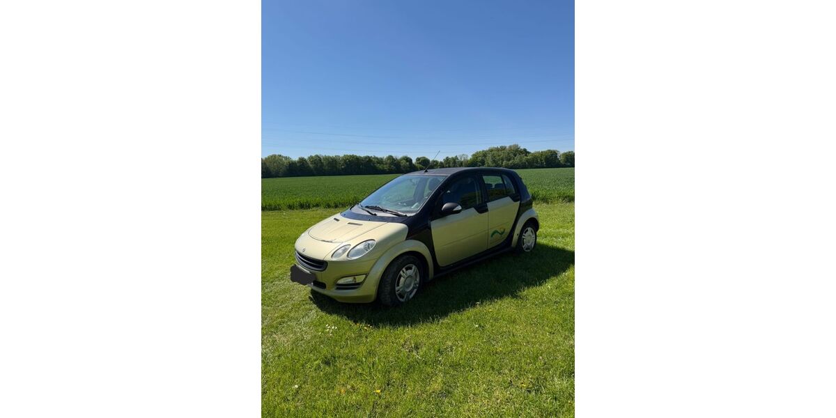Smart ForFour 129.000 km 1.600 &euro; Heppenheim 64646
