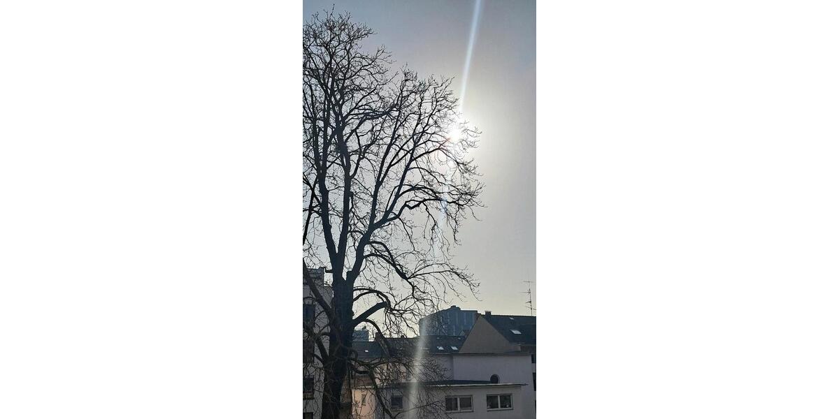 Etagenwohnung Mannheim Almenhof - 4 Zimmer, 134 m&sup2;, 1.960&euro; | Angebot:25424523