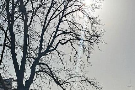 Wohnung Mannheim Almenhof - 4 Zimmer, 134 m&sup2;, 1.960&euro; | Angebot:25424523