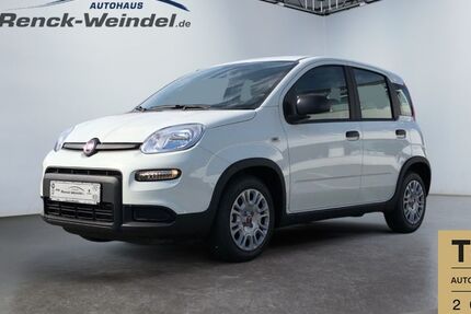 Fiat Panda 5.000 km 13.989 € Mannheim 68199
