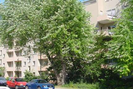 Wohnung zum Kaufen in Ludwigshafen am Rhein 158.000 € 64.29 m² 2 zimmer