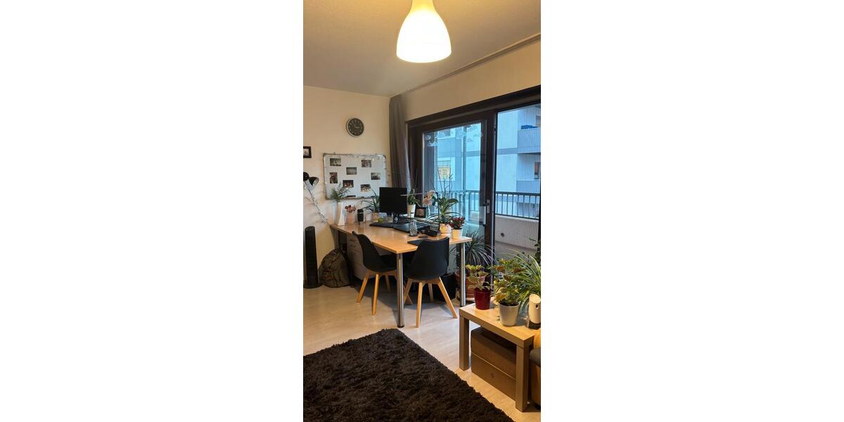 Wohnung Zwischenmiete Februar-Mai in Heidelberg 1 zimmer