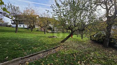 GROß UND GÜNSTIG - Grundstück Wald-Michelbach Michelbach | Angebot:24891247