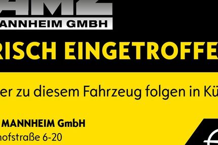 Opel Zafira Life 35.060 km 33.900 € Mannheim 68165