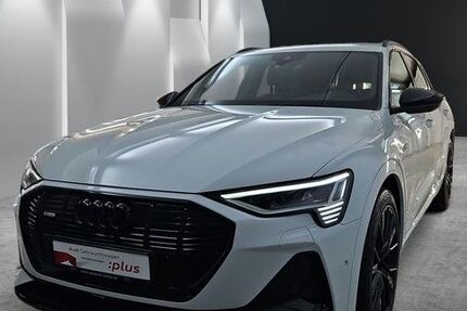 Audi e-tron 30.015 km 49.980 &euro; Speyer 67346