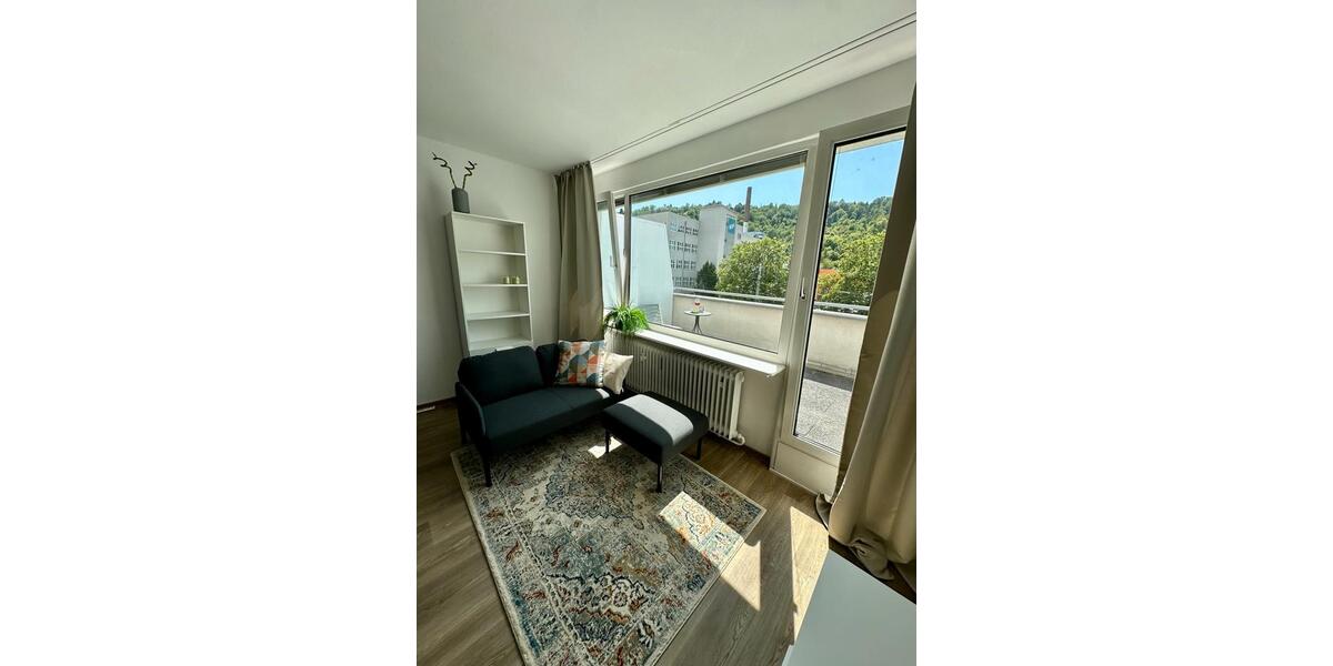 Dachgeschoßwohnung Eberbach - 1 Zimmer, 36 m&sup2;, 900&euro; | Angebot:26462131