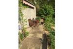 Einfamilienhaus Heppenheim (Bergstraße) - 6.5 Zimmer, 140 m&sup2;, 490.000&euro; | Angebot:26535049