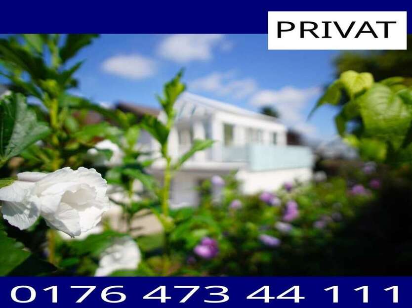 Wohnung zum Mieten in Angelbachtal 500 € 50 m²