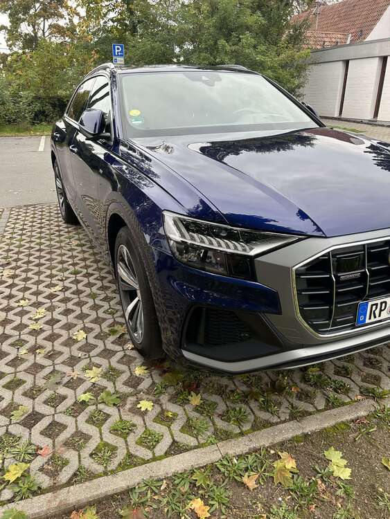 Audi Q8 53.700 km 59.900 € Limburgerhof 67117