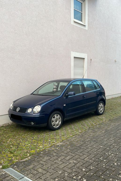 Polo