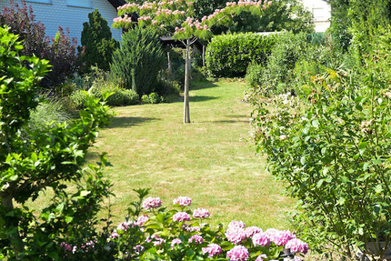 Haus Weinheim OT Hohensachsen - 7 Zimmer, 214 m&sup2;, 795.000&euro; | Angebot:23402039