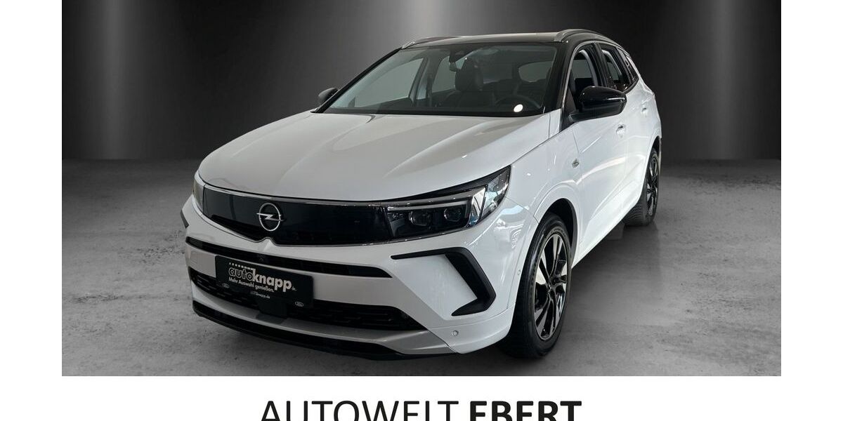 Opel Grandland (X) 21.600 km 24.690 &euro; Frankenthal 67227