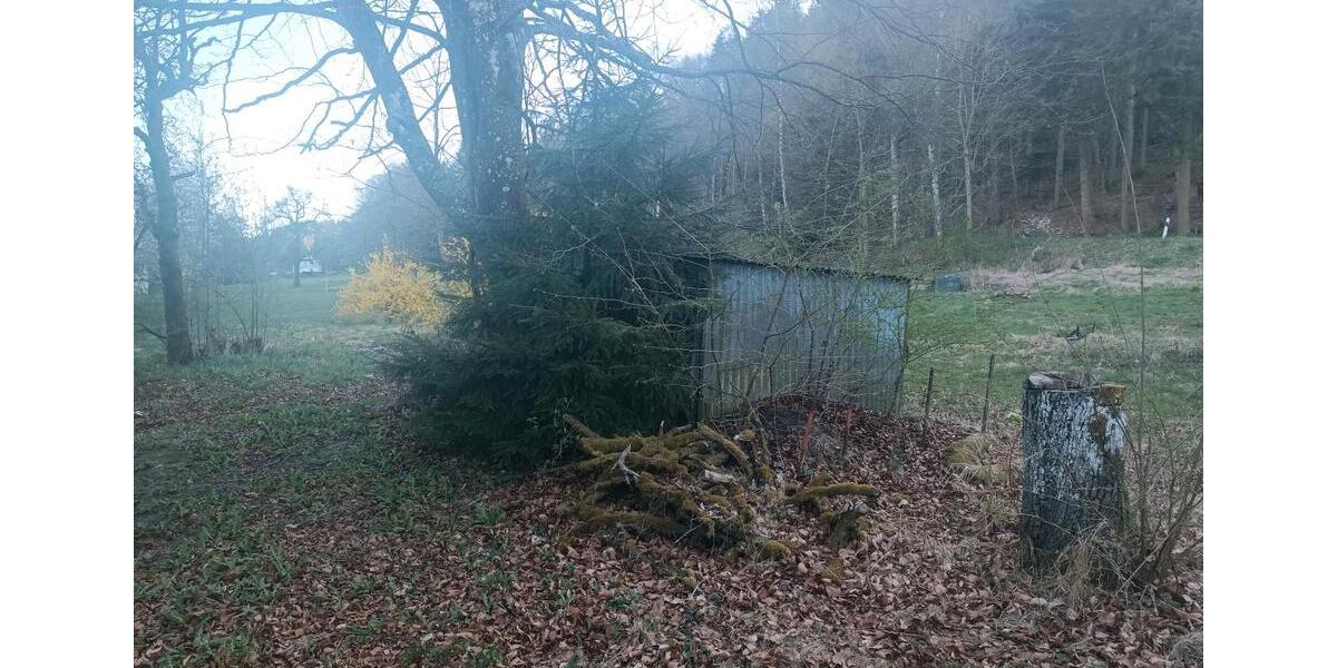 Bauernhaus, Landhaus Wald-Michelbach Michelbach - 1 Zimmer, 111 m&sup2;, 135.000&euro; | Angebot:26223164