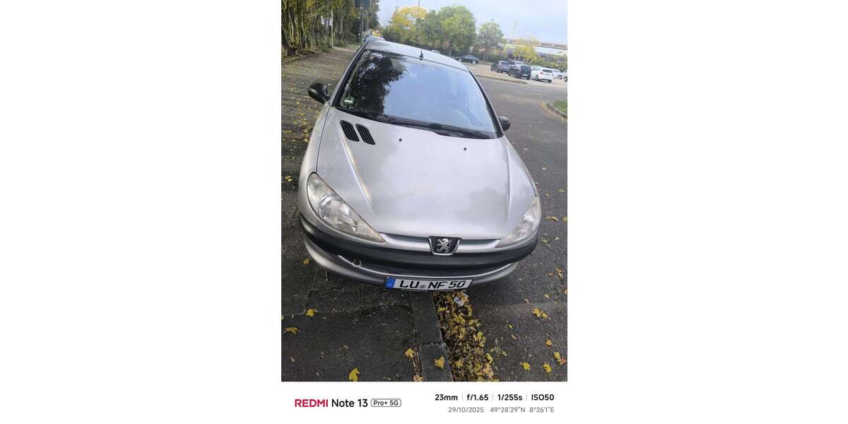 Peugeot 206 199.050 km 1.300 € Süd (Ludwigshafen am Rhein) 67061