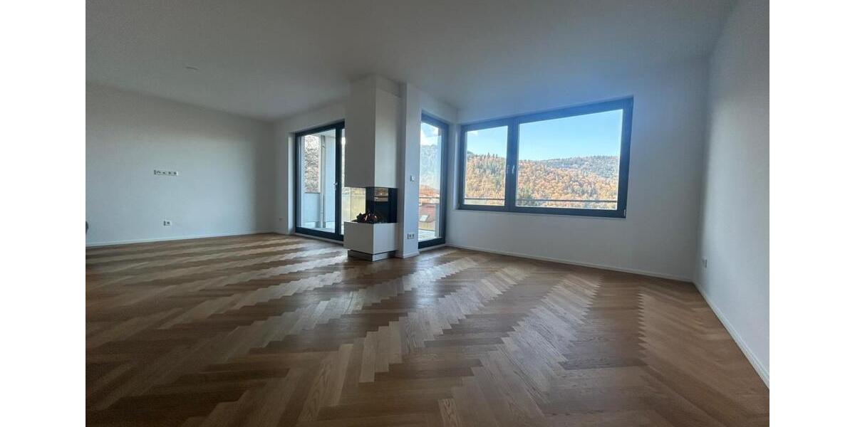 Doppelhaushälfte Heidelberg Peterstal - 6 Zimmer, 168 m&sup2;, 1.490.000&euro; | Angebot:26505728