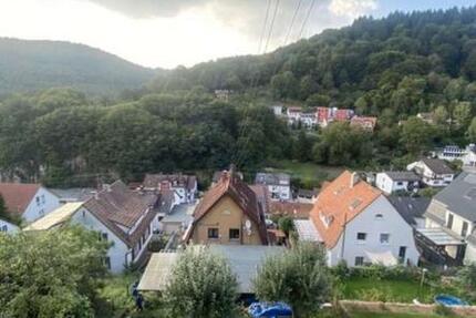 Wohnung Heidelberg Peterstal - 2 Zimmer, 40 m&sup2;, 850&euro; | Angebot:25150132