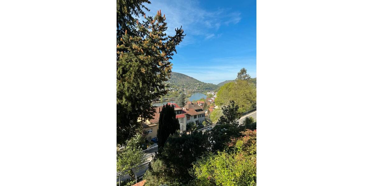 Etagenwohnung Heidelberg Peterstal - 1 Zimmer, 40 m&sup2;, 775&euro; | Angebot:25426029
