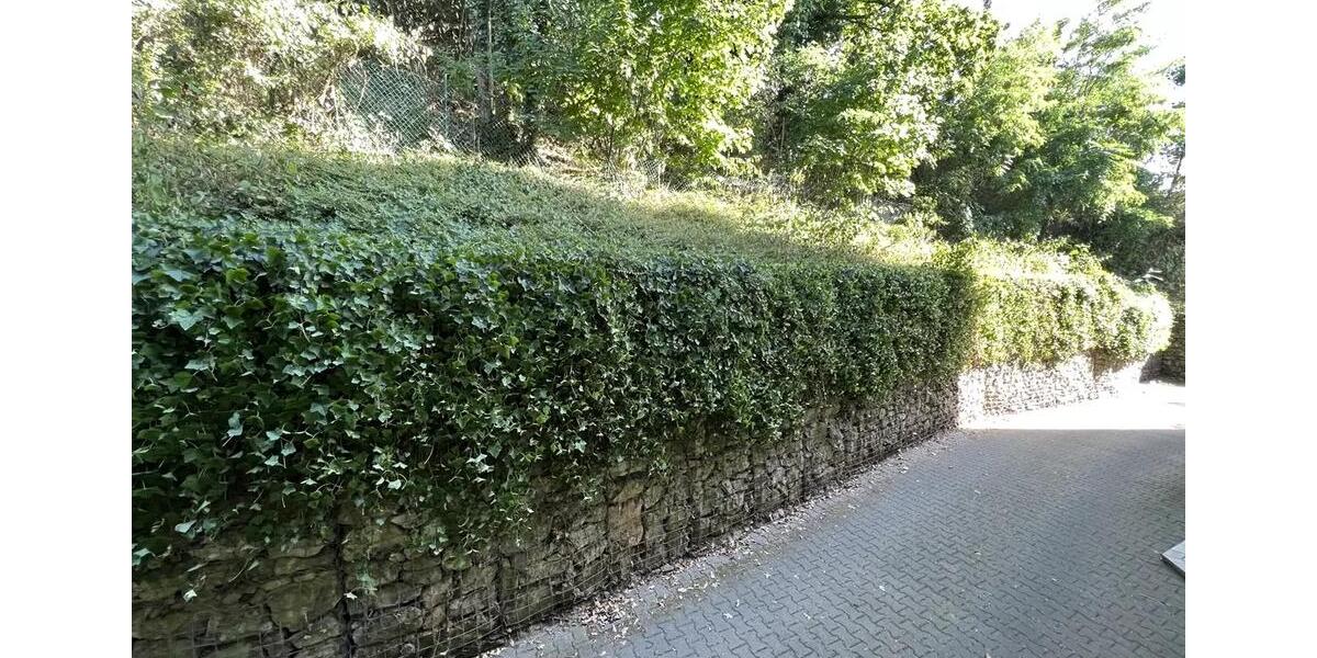 1-Zi-Wohnung mit Balkon + Garage in Leimen für Kapitalanleger 1 zimmer