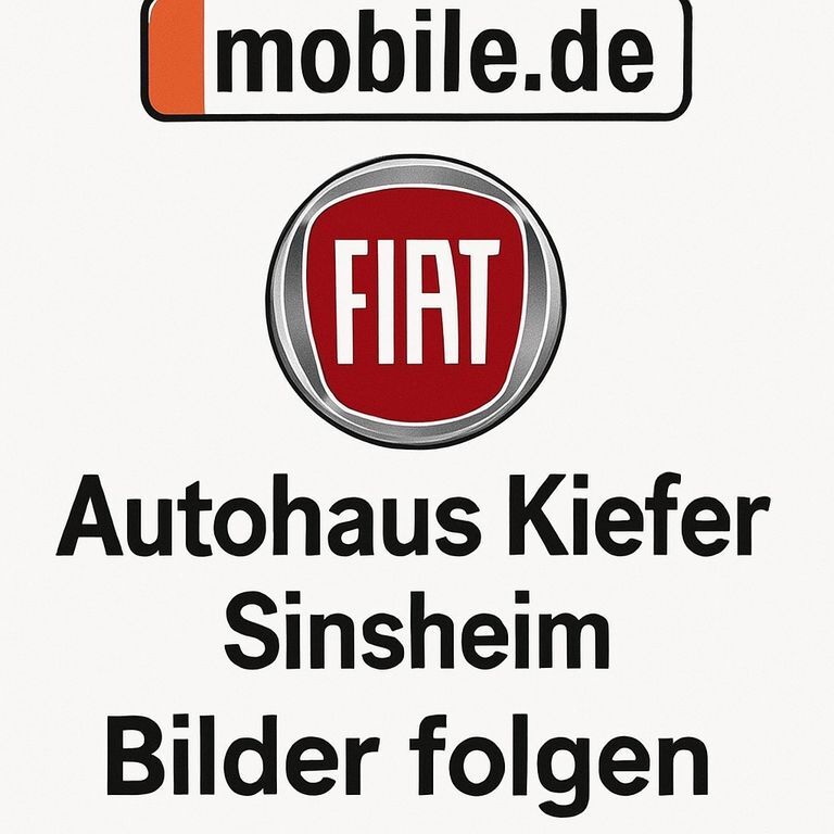 Fiat 500e 37.500 km 18.690 € Sinsheim 74889